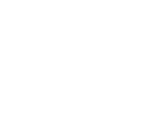 furnituregoodwin.com